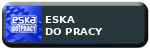 Logo stacji radiowej Radio ESKA Do Pracy