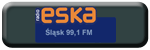 Logo stacji radiowej Radio Eska Śląsk