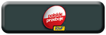 Logo stacji radiowej Radio RMF Polskie Przeboje